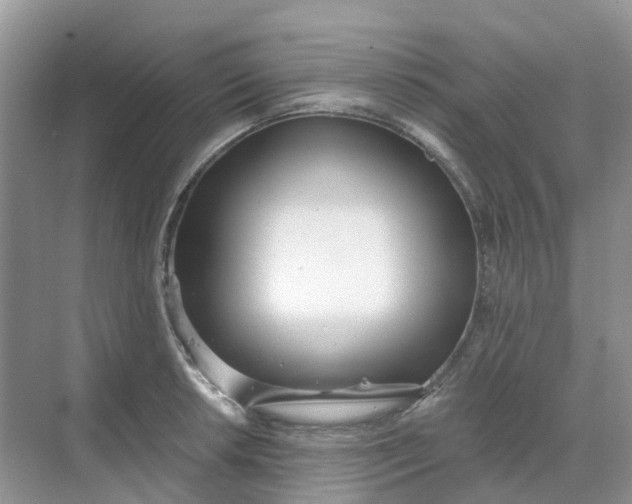 X0000068731042200605121513