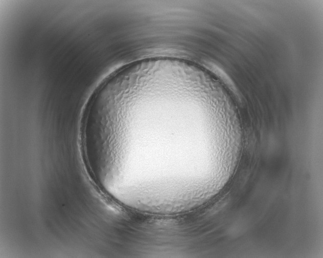 X0000068731043200605121513