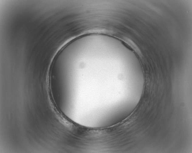 X0000068731044200605121513