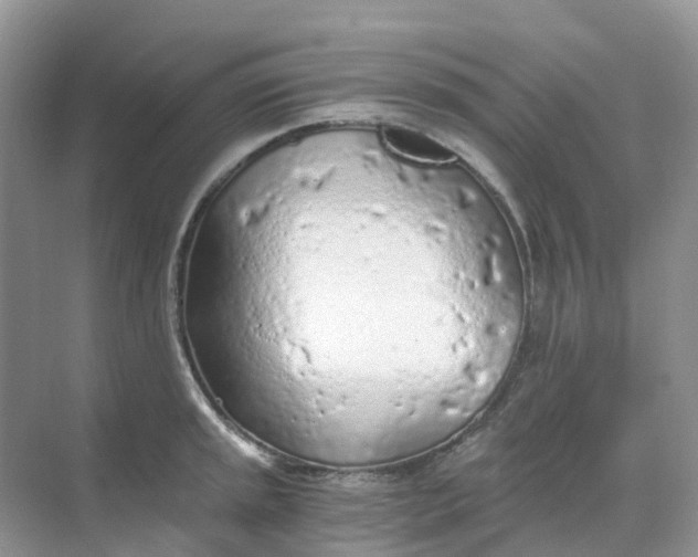 X0000068731045200605121513