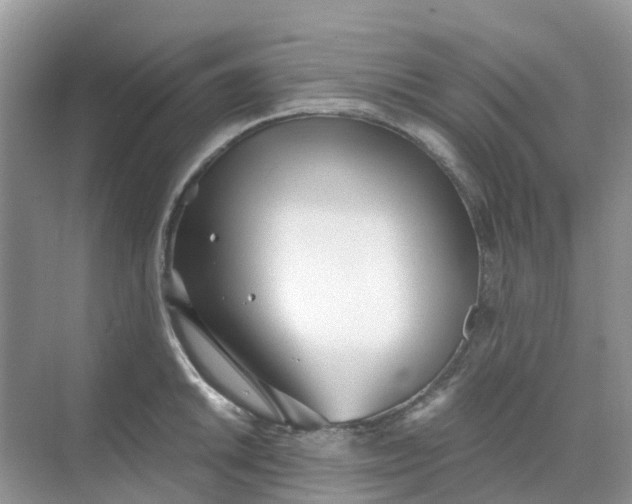 X0000068731046200605121513