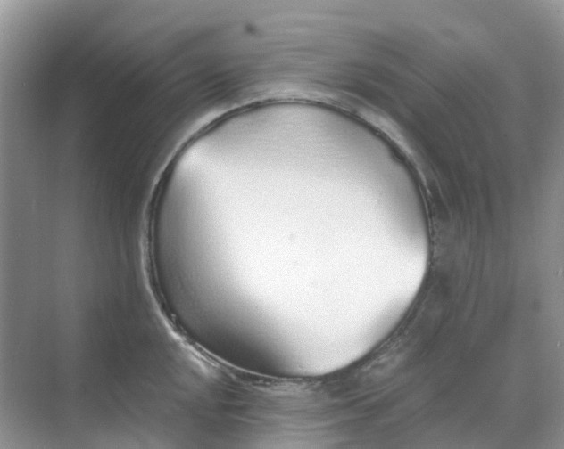 X0000068731048200605121513