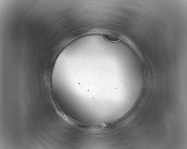 X0000068731049200605121513