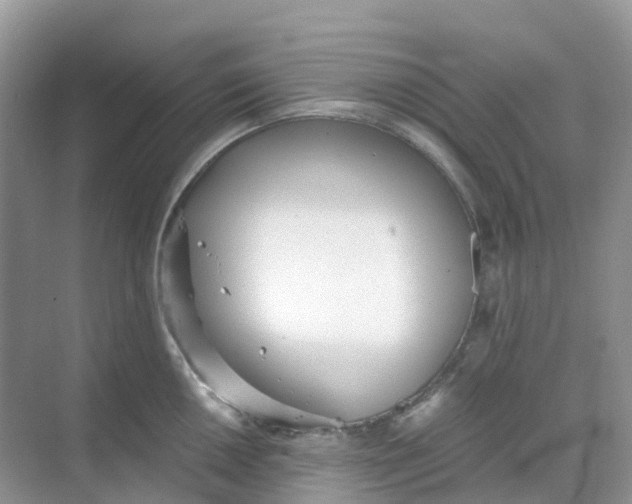 X0000068731050200605121513