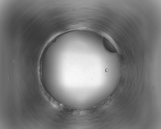 X0000068731051200605121513