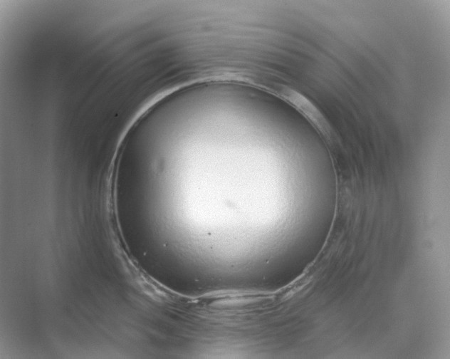 X0000068731052200605121513