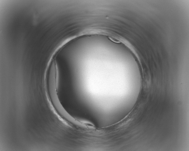 X0000068731053200605121513