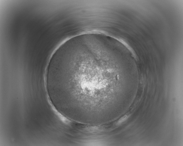 X0000068731054200605121513