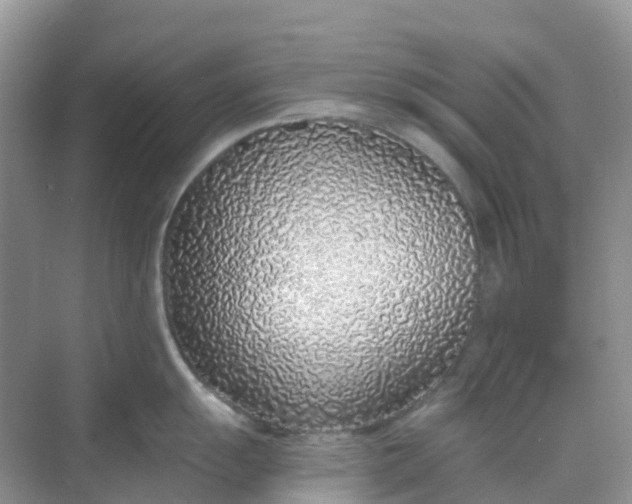 X0000068731055200605121513