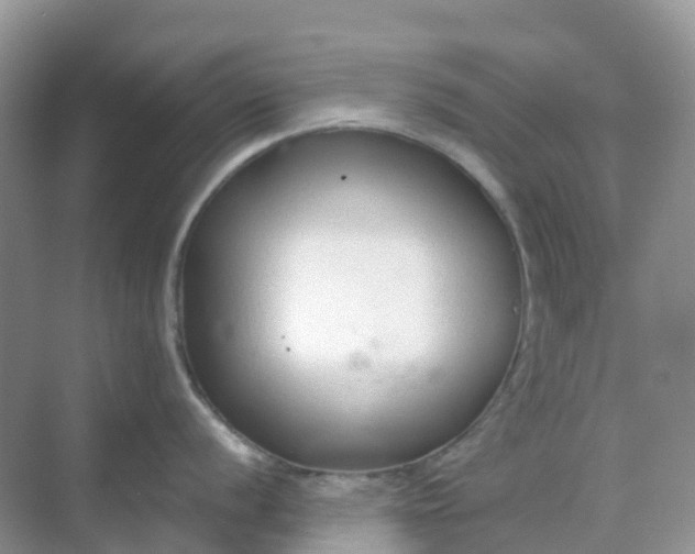 X0000068731056200605121513