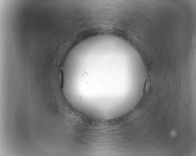 X0000068731057200605121512