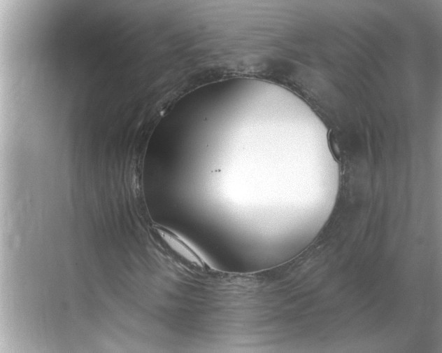 X0000068731058200605121512