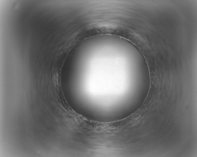 X0000068731061200605121512