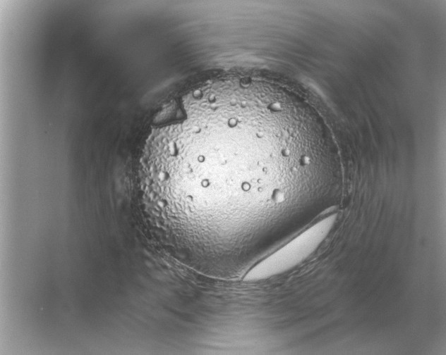 X0000068731063200605121512