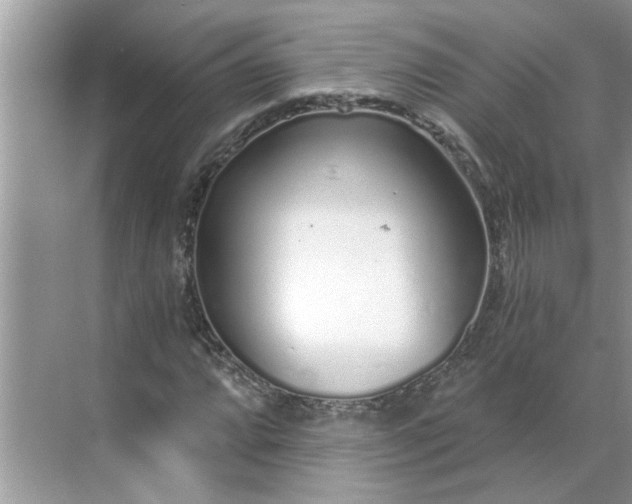 X0000068731064200605121512