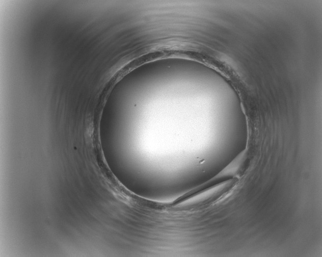 X0000068731065200605121512