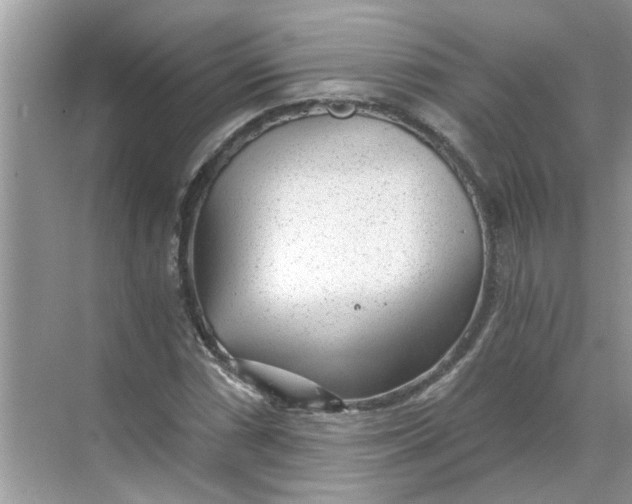 X0000068731066200605121512