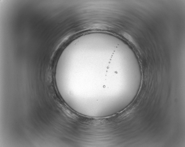 X0000068731067200605121512