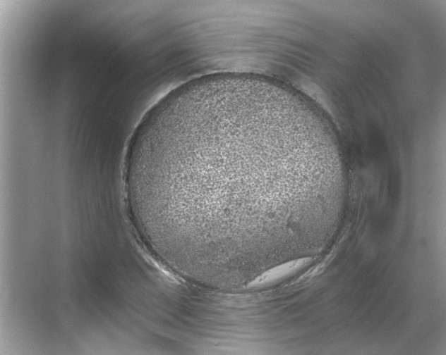 X0000068731071200605121512