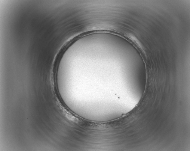 X0000068731072200605121512