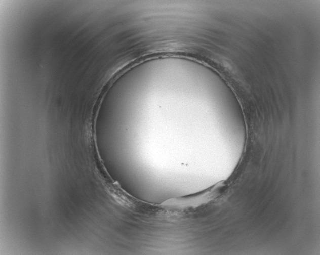 X0000068731073200605121512