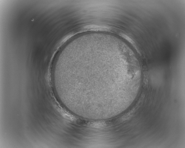 X0000068731074200605121512