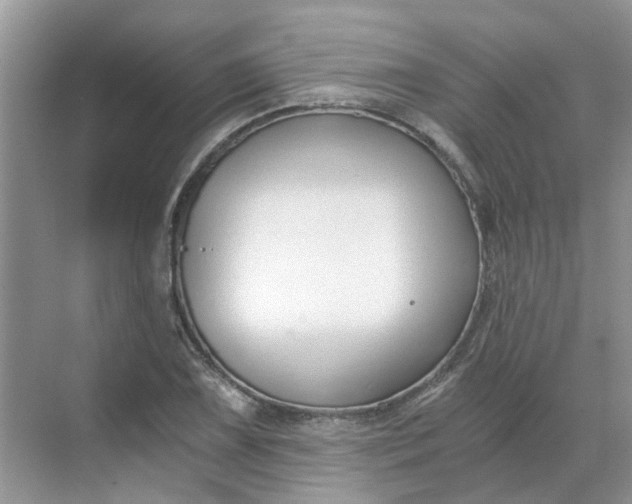 X0000068731075200605121512