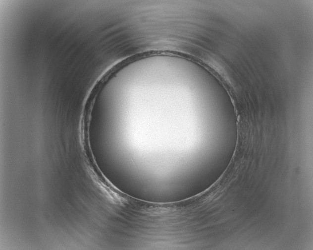 X0000068731076200605121512