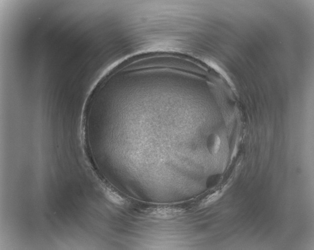 X0000068731077200605121512