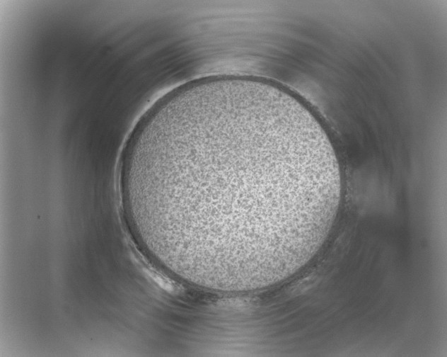 X0000068731078200605121512