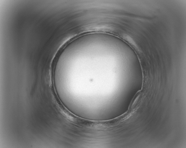 X0000068731079200605121512