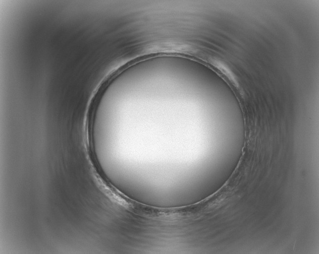 X0000068731080200605121512