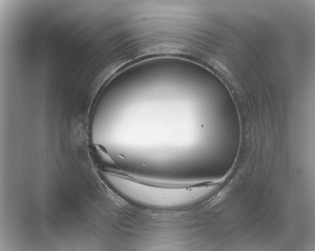 X0000068731081200605121512