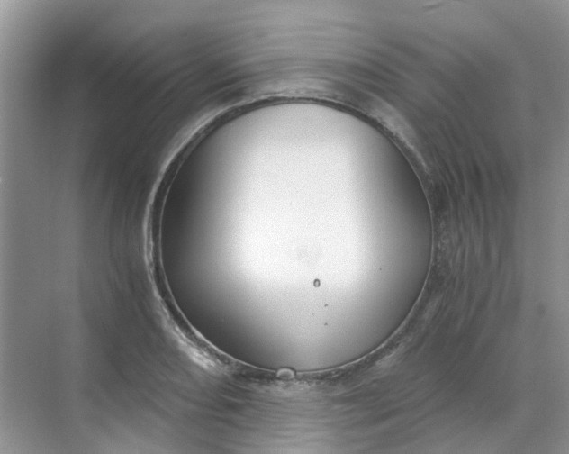 X0000068731082200605121512