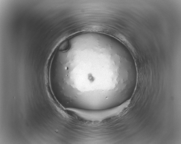 X0000068731083200605121512