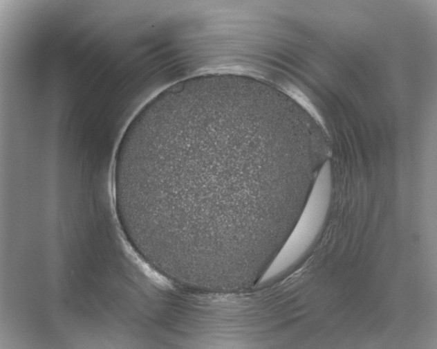 X0000068731084200605121512