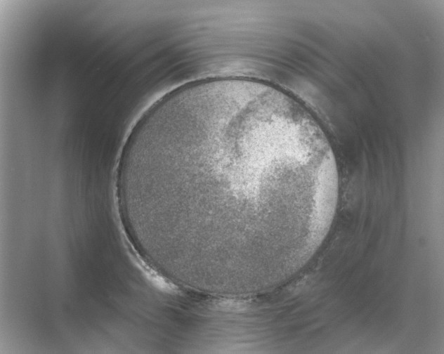 X0000068731086200605121512