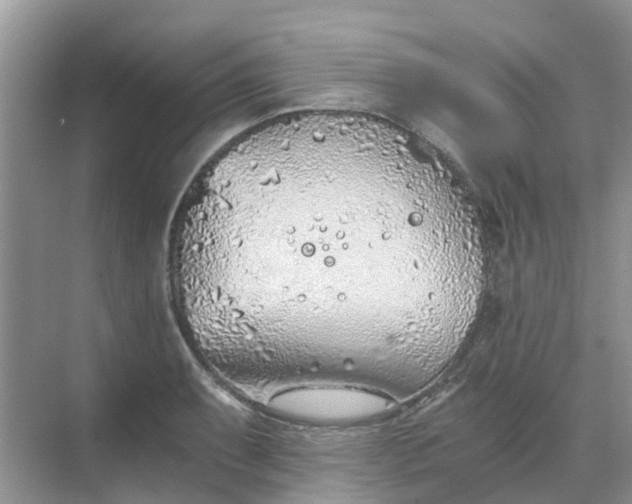 X0000068731087200605121512