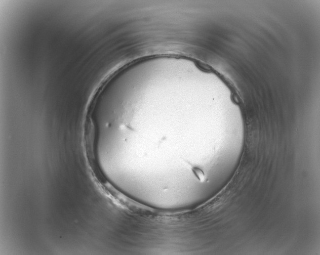 X0000068731088200605121512