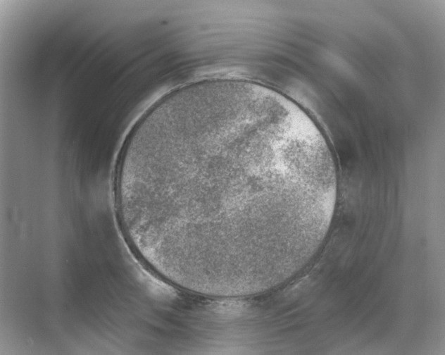 X0000068731090200605121512