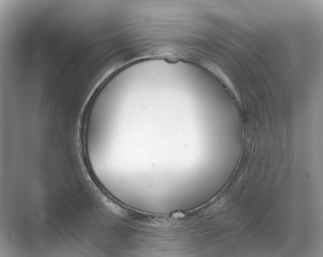 X0000068731091200605121512