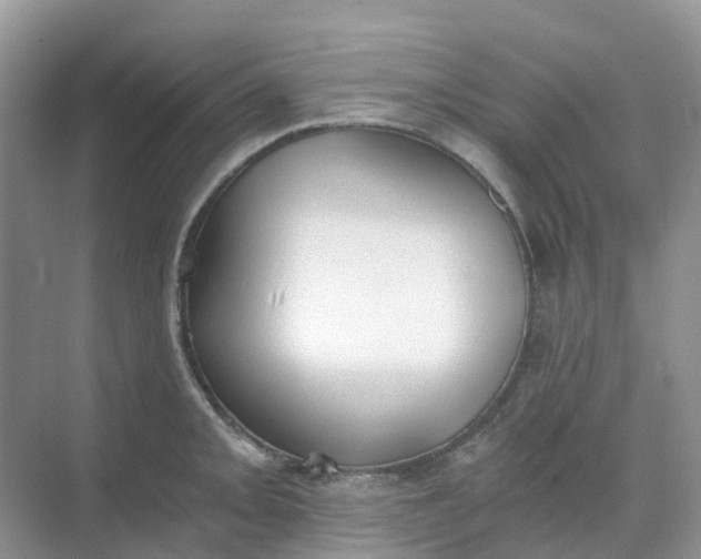 X0000068731093200605121512