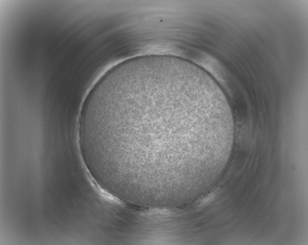 X0000068731094200605121512