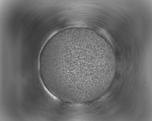 X0000068731095200605121511