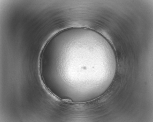 X0000068731096200605121511