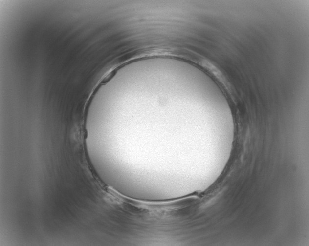 X0000068731097200605121511