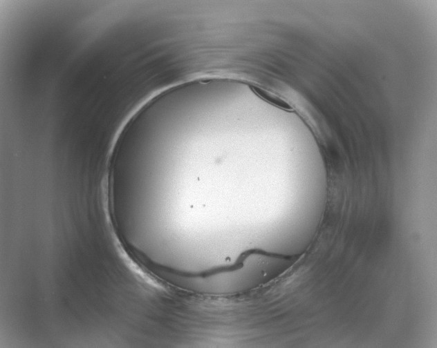 X0000068731100200605121511