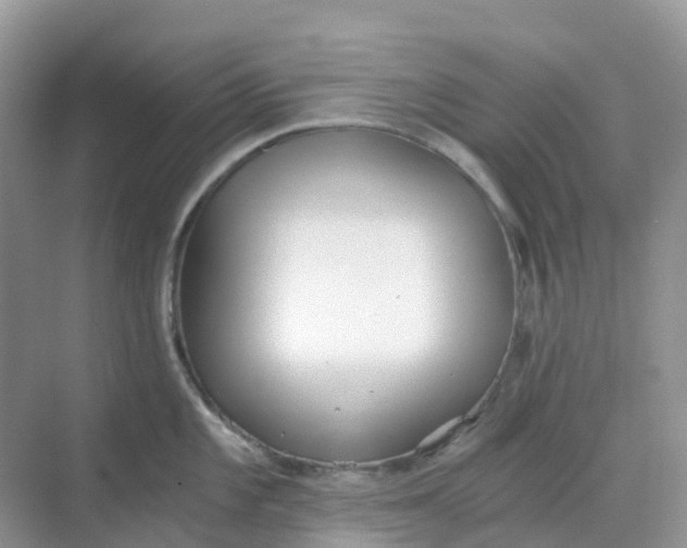 X0000068731101200605121511