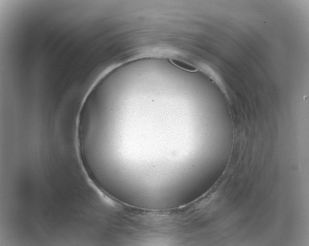 X0000068731103200605121511