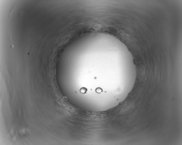 X0000068731105200605121511